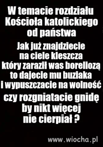 Kolega pytał