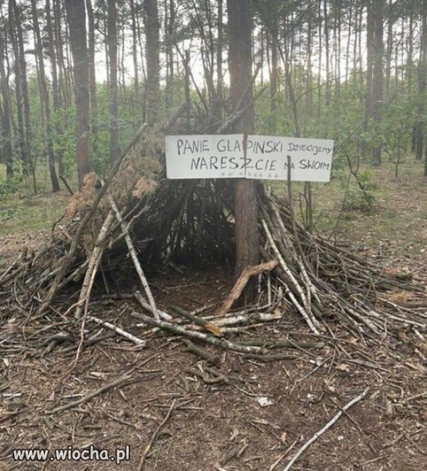 Za rządów PiSu, Polacy chrustem się bogacą...