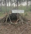 Za rządów PiSu, Polacy chrustem się bogacą...
