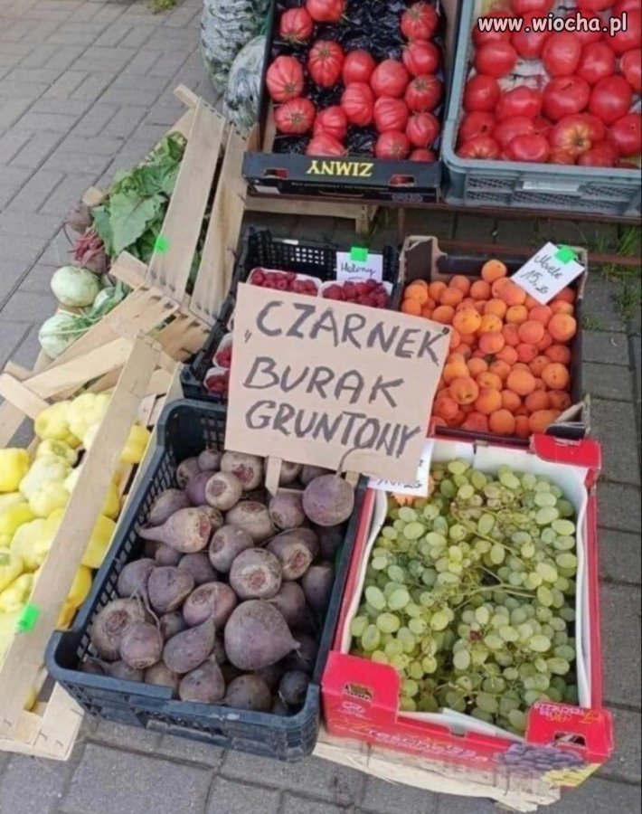 Profesor taki 