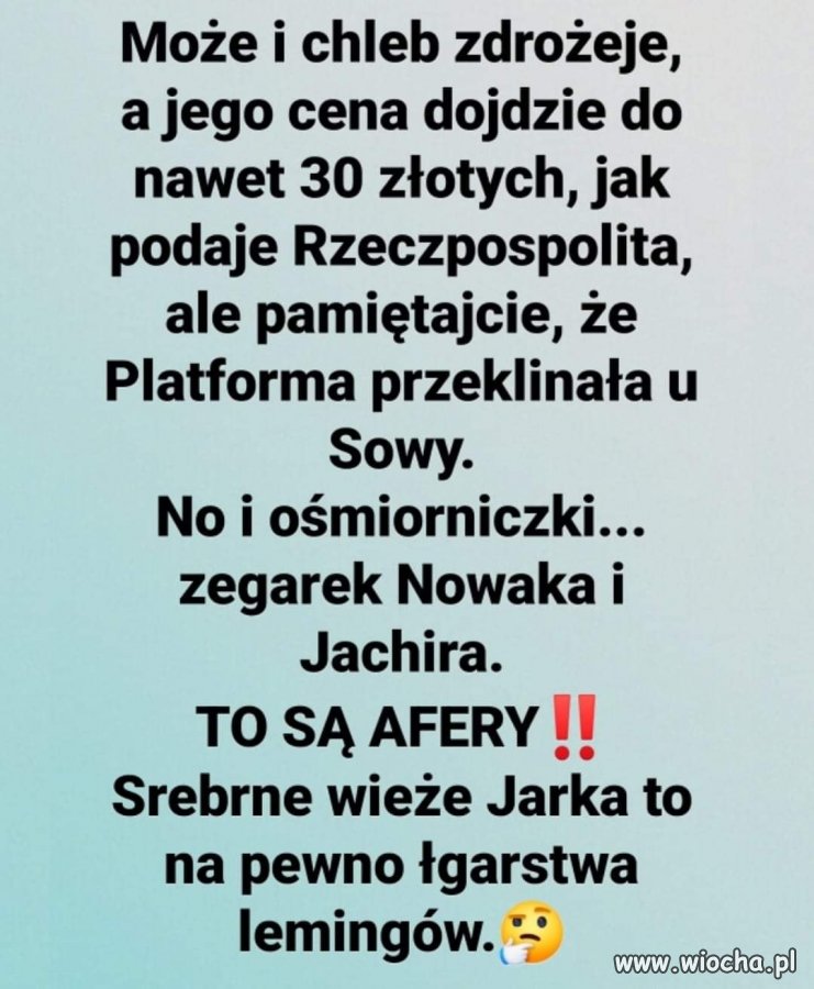...ach te ośmiorniczki i zegarek Nowaka