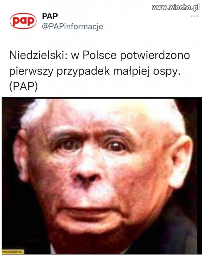 Teraz już z górki, szczepionki, testy, kwarantanny, zamykanie lasów...