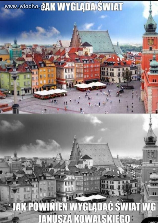 Świat według janusza