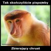 Tak skończyliście pispo*eby