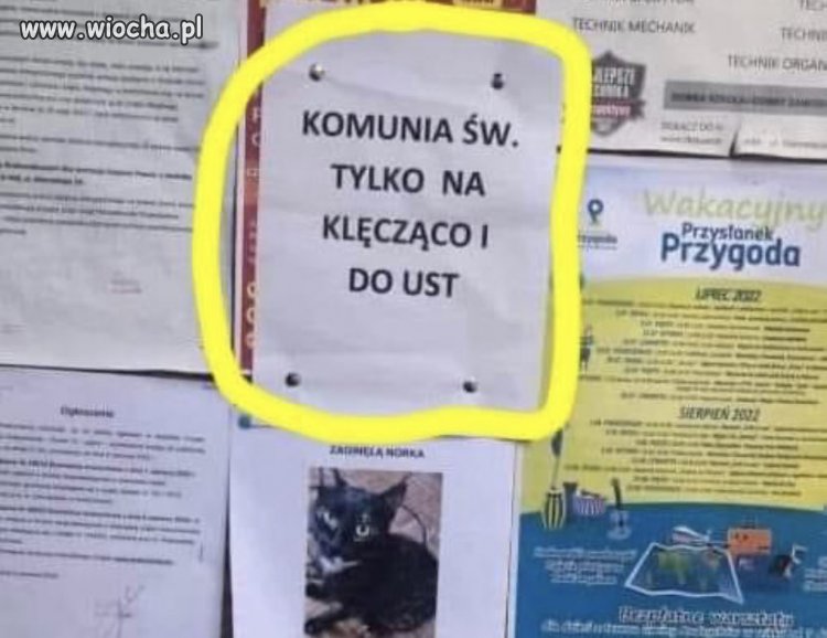 No proszę
