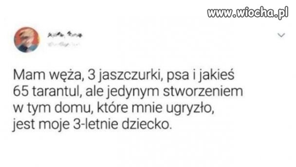 I musisz chodować do 18 lat