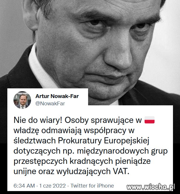 Mafia w mafii 