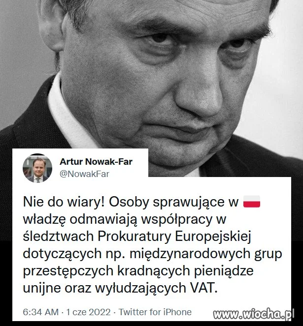 Mafia w mafii 