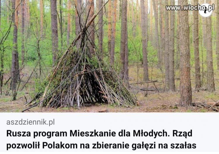Nowy pomysł pisu