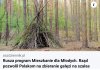 Nowy pomysł pisu