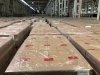 Makulatura Sasina za 70 mln, ale to Jachira śmieci