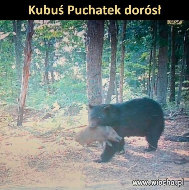 I tak jest w dorosłym życiu