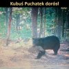 I tak jest w dorosłym życiu