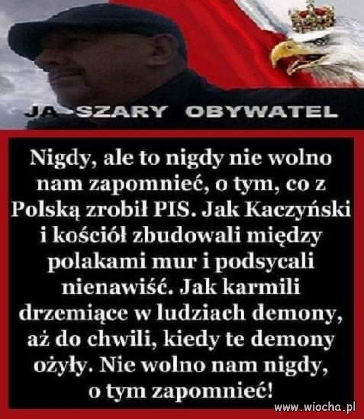 Szary obywatel, co nie znaczy, że głupi!