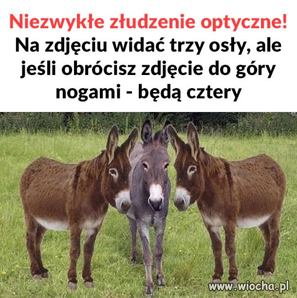 Niezwykłe