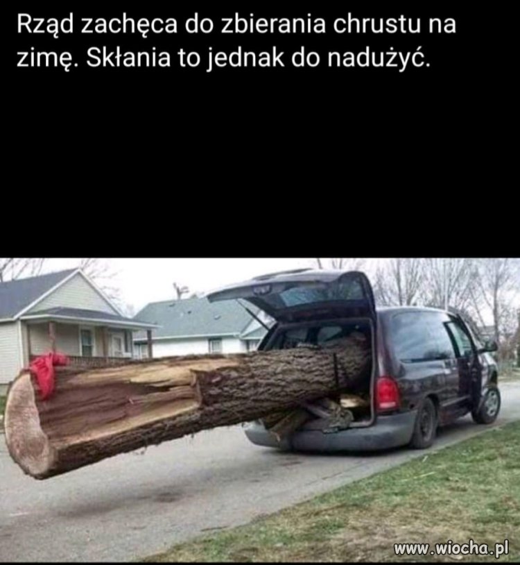 Jedna gałązka panie leśniczy