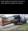 Jedna gałązka panie leśniczy