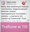 Czy takie zestawienie jest w ogóle prawidłowe?