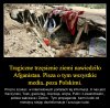 Polskie media już takie są