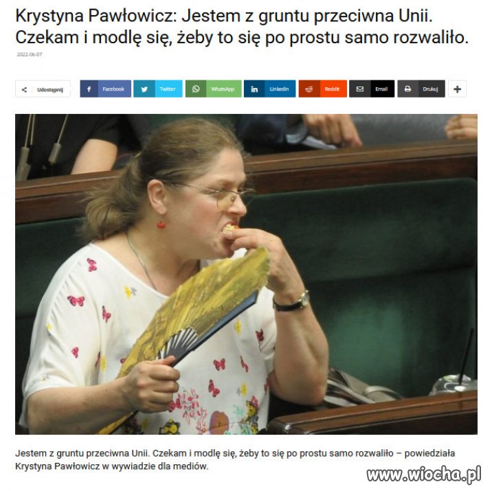 Ostatnie wiadomości z PiSOWSKIEGO MAGLA...