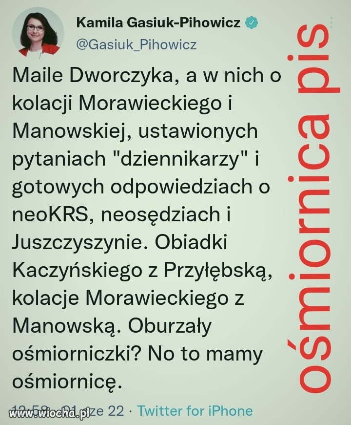 PiSowska ośmiornica 