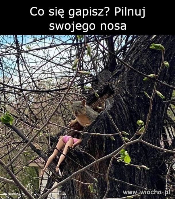 Zapowiada się ciekawy piątek