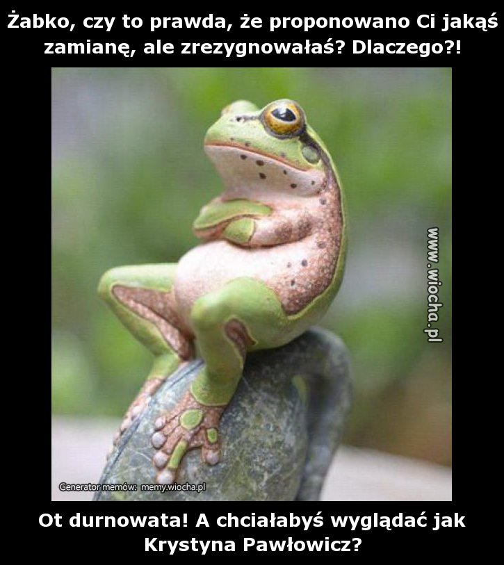 Żabko, czy to prawda, że proponowano Ci jakąś