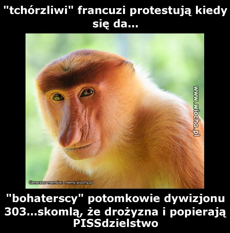 "tchórzliwi" francuzi protestują kiedy się da...