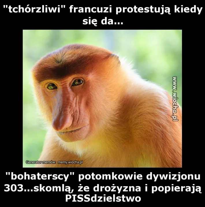 "tchórzliwi" francuzi protestują kiedy się da...