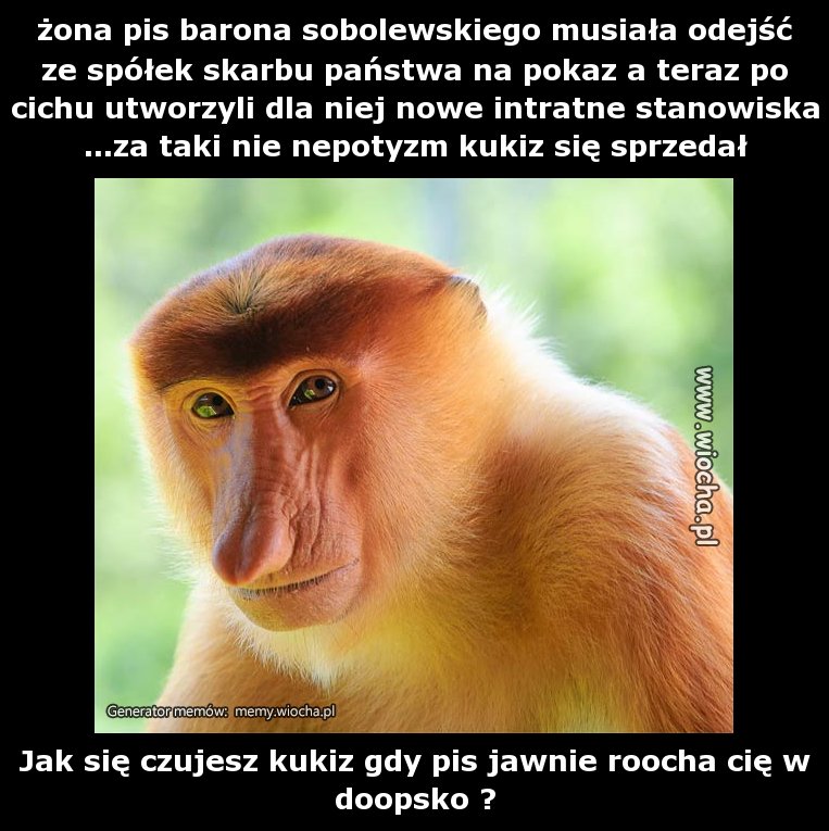 żona pis barona sobolewskiego musiała odejść ze