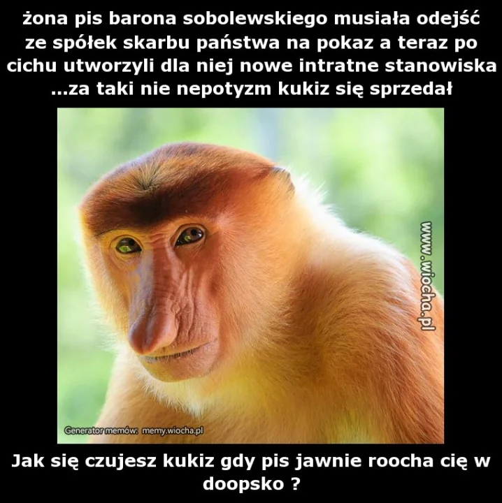 żona pis barona sobolewskiego musiała odejść ze
