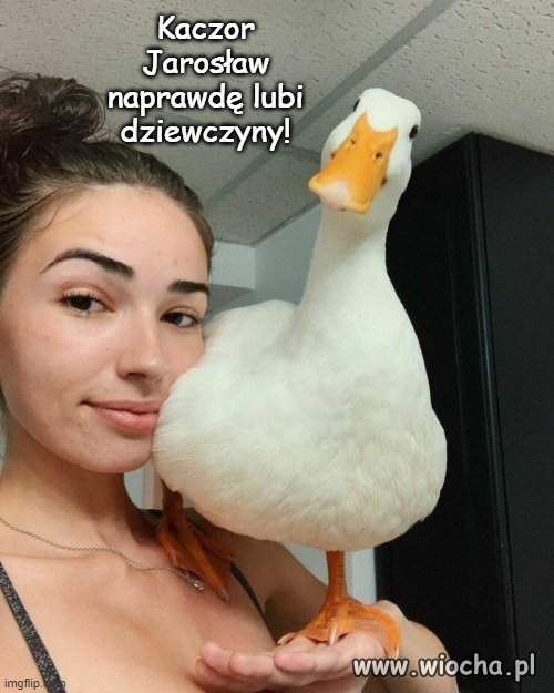 A może  nie lubi,