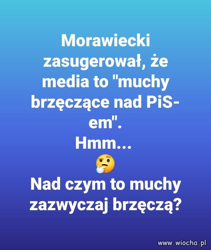 Sami wiecie
