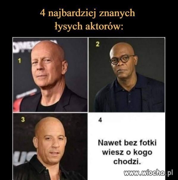 Stawiamna KOJAKA