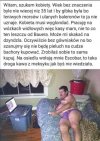 Ogłoszenie grzecznościowe 
