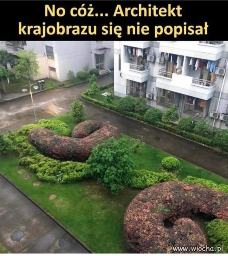 Jakieś dziwne te "ozdoby" 