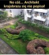Jakieś dziwne te "ozdoby" 