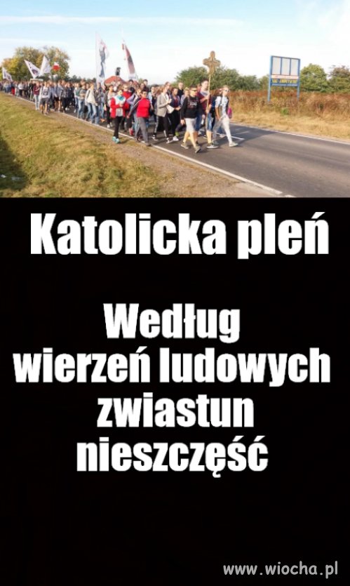 Marsz poparcia dla pedofili i ich obrońców