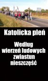 Marsz poparcia dla pedofili i ich obrońców