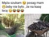 Ogłoszenie