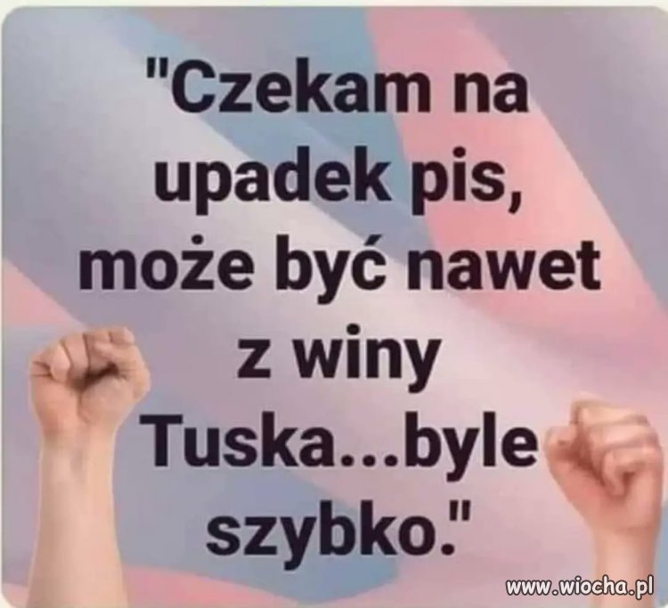 I to będzie wina za którą bardzo premierowi Tuskowi podziękuję