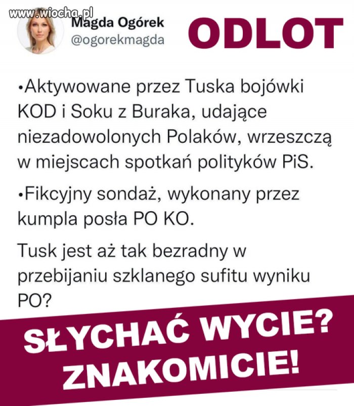 Madzia atakuje