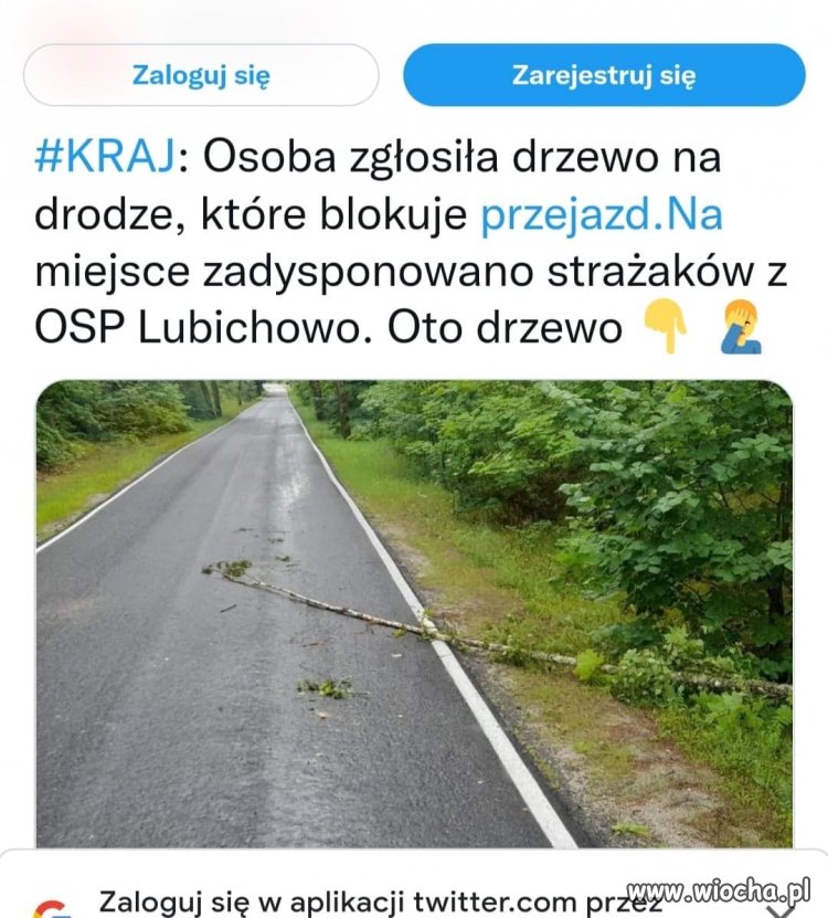 Drzewo się obaliło na drogę