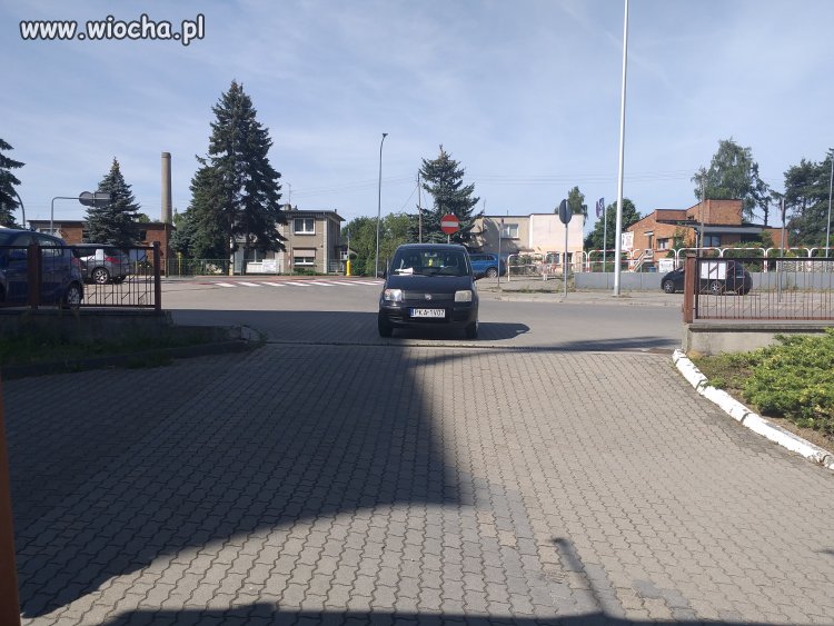 Mistrz parkowania 