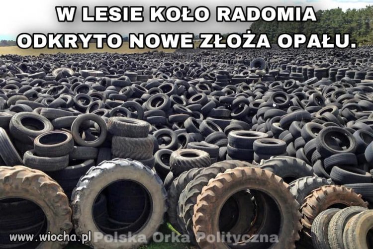 Ekopony - Jesteśmy uratowani!