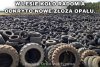 Ekopony - Jesteśmy uratowani!