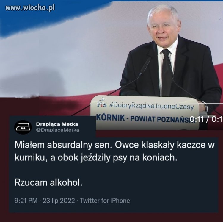 Demencja w pełnym rozkwicie   