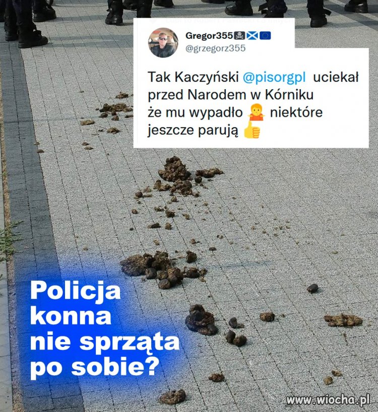 Czy taki sam gnój zostanie po ich rządach, bo 