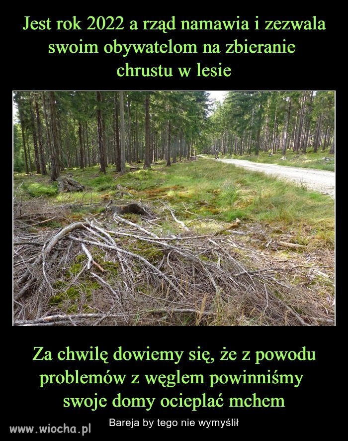Z każdym rokiem jest śmieszniej i tragiczniej