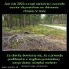 Z każdym rokiem jest śmieszniej i tragiczniej